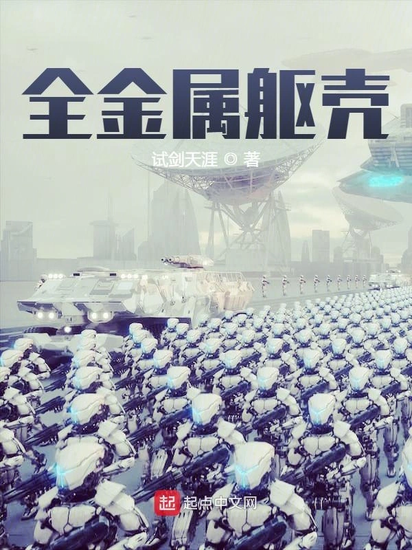 机战：全金属风暴